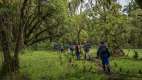 A forest walk at Bisate Lodge, Rwanda