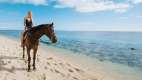 Women riding a horse along the beach