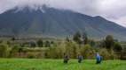 People walking through the Rwanda bush